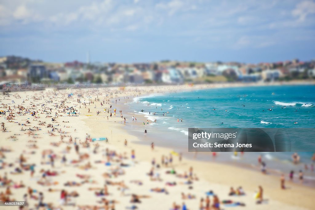 Bondi Beach