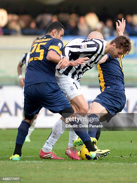 Pinto Rafael Marques Photos and Premium High Res Pictures Getty Images