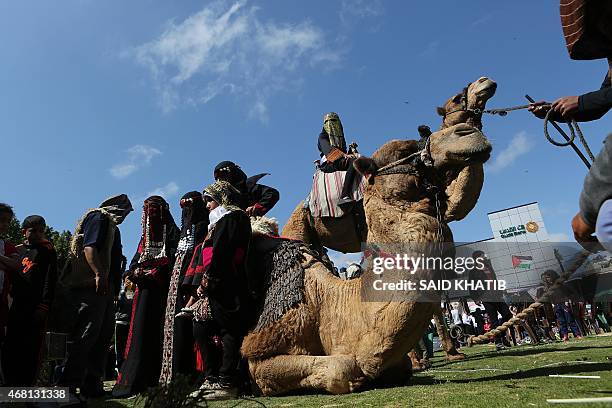 Palestinian children get on camels during activities organised to mark Land Day in Rafah, in the southern Gaza Strip, on March 30, 2015. On the...