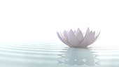 Zen lotus on water