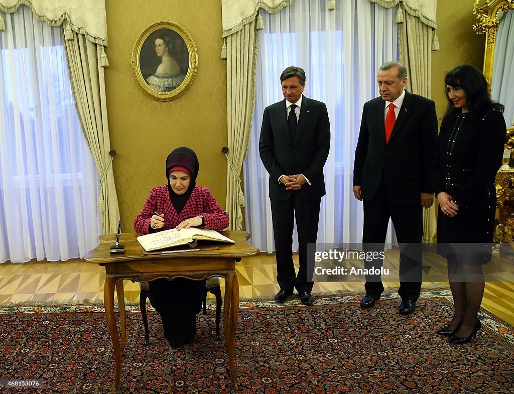 Turkish president Erdogan in Slovenia