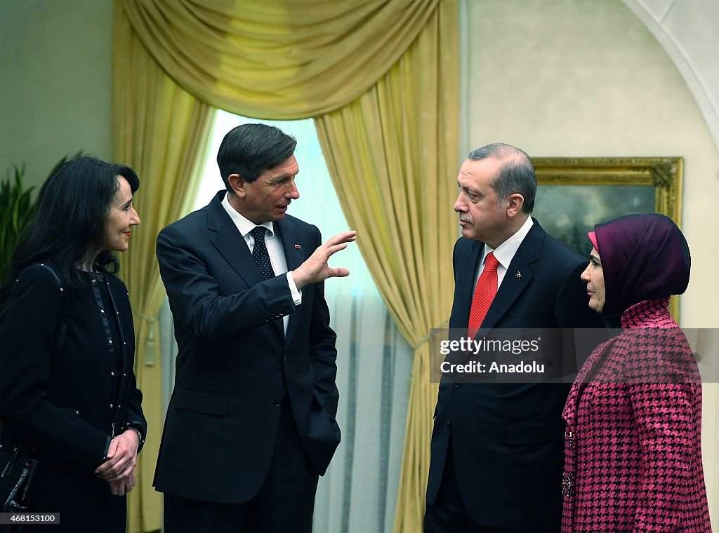 Turkish president Erdogan in Slovenia