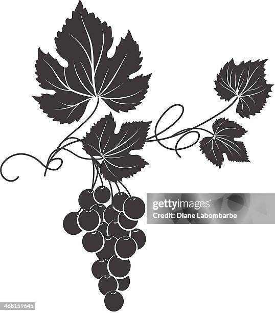 decorative grape vine silhouette - vineyard leafs stock illustrations