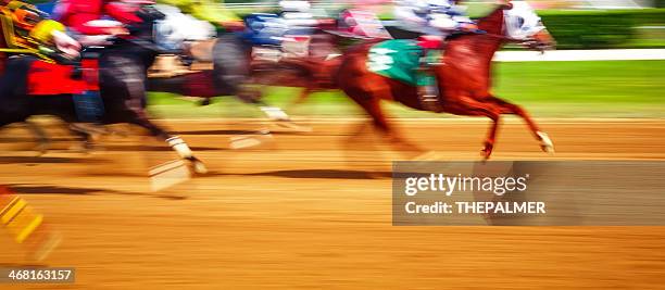corridas de cavalo - horse racing - fotografias e filmes do acervo