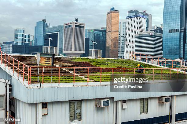 green roof and hong kong island skyline, china, asia - green roof stock pictures, royalty-free photos & images