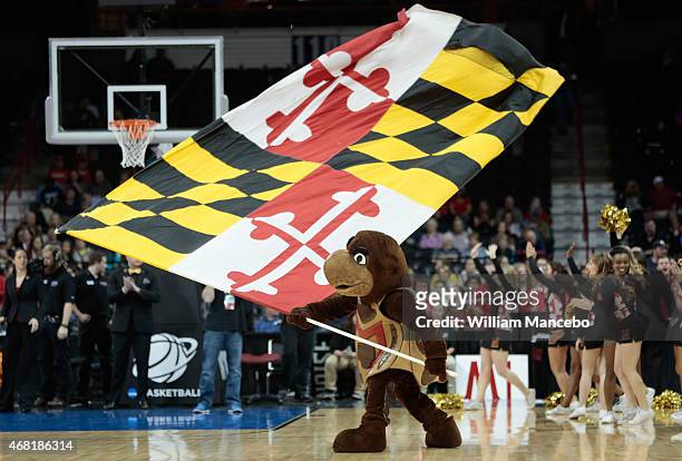Testudo the mascot for the Maryland Terrapins performs during the game against the Tennessee Lady Vols in the 2015 NCAA Division I Women's Basketball...