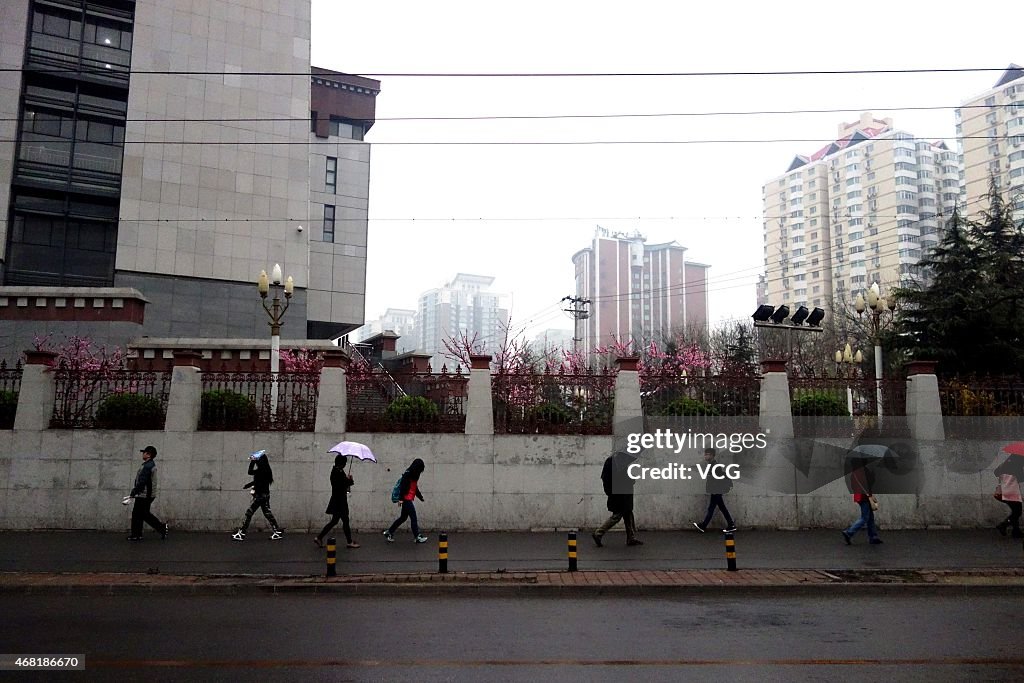 Beijing Welcomes Its First Spring Rain