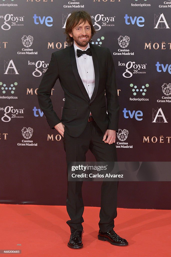 Goya Cinema Awards 2014 - Red Carpet