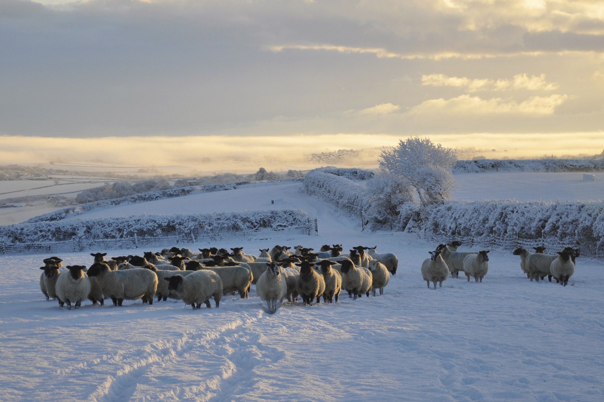 Winter farming Winter farming