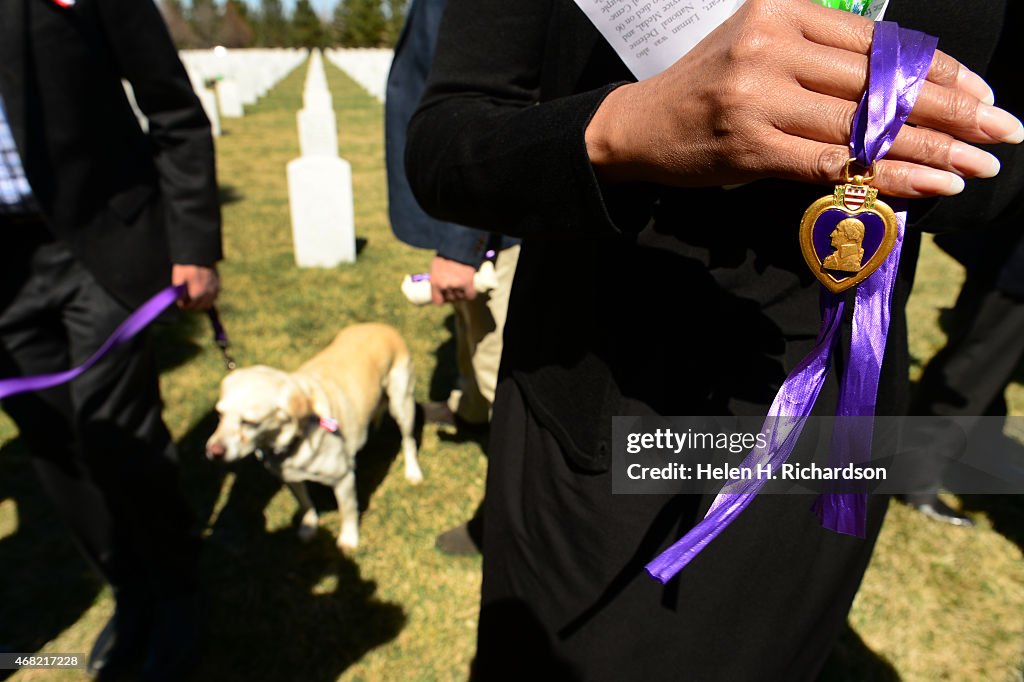 Lost Purple Heart medal, found by mixed breed dog Smuckers is returned to the family during a Purple Heart Return Ceremony at Fort Logan Cemetery in Denver, Colorado.