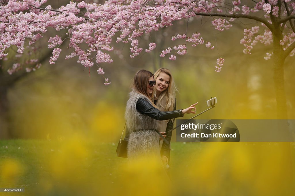 Spring Emerges In London