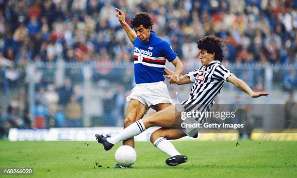 Sampdoria striker Gianluca Vialli rides the challenge of Paolo Pochesci of Ascoli during a match circa 1984 in Genoa, Italy.