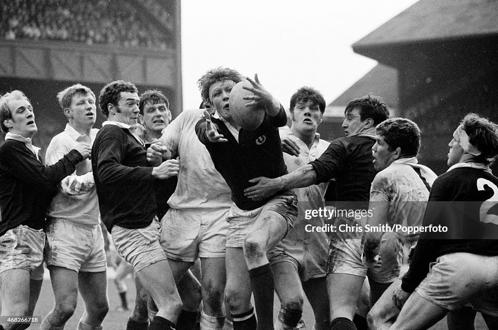 England v Scotland - Five Nations