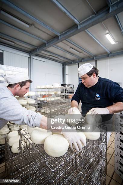 Cheese Inside Factory 65 Inside An Italian Cheese Factory Stock Photos, High-Res Pictures ...