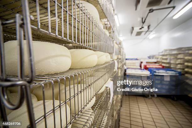 Cheese Inside Factory 65 Inside An Italian Cheese Factory Stock Photos, High-Res Pictures ...