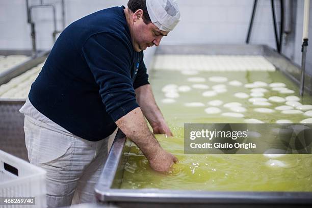 Cheese Inside Factory Inside An Italian Cheese Factory Photos and Premium High Res Pictures ...