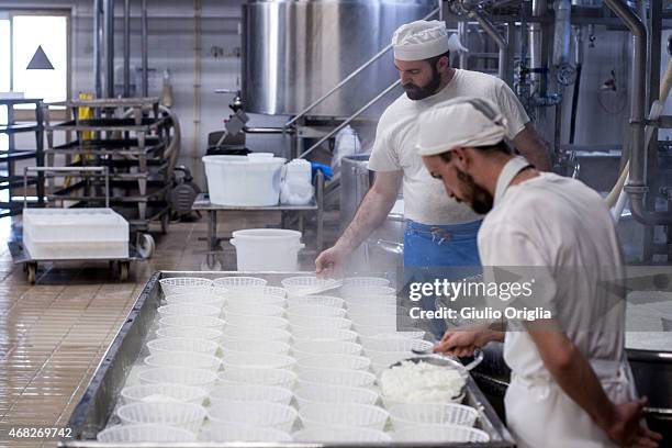 Cheese Inside Factory Inside An Italian Cheese Factory Photos and Premium High Res Pictures ...