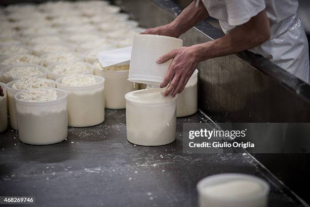Cheese Inside Factory Inside An Italian Cheese Factory Photos and Premium High Res Pictures ...