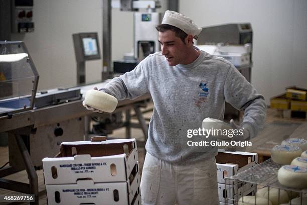 Cheese Inside Factory Inside An Italian Cheese Factory Photos and Premium High Res Pictures ...