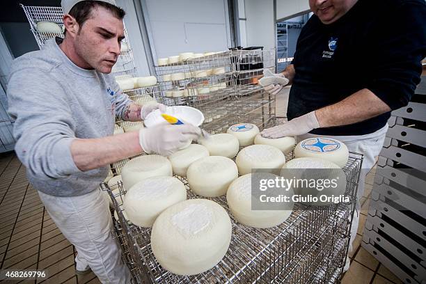Cheese Inside Factory 65 Inside An Italian Cheese Factory Stock Photos, High-Res Pictures ...