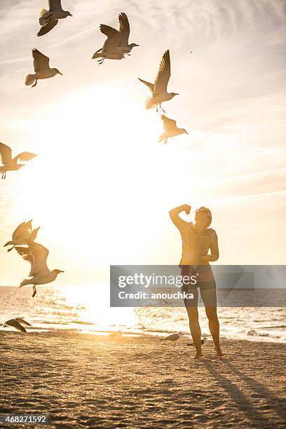 woman feeding seagulls on the beach - clearwater stock pictures, royalty-free photos & images