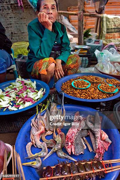 Thai lady selling exotic foods at a street market in Udon Thani, Thailand. Chopped up baby monitor lizards, birds, worms, frogs and the rest is on...