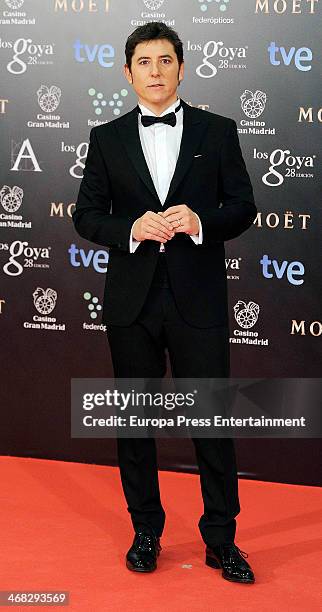 Manel Fuentes attends Goya Cinema Awards 2014 at Centro de Congresos Principe Felipe on February 9, 2014 in Madrid, Spain.