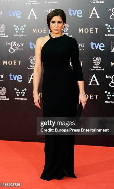 Lucia Jimenez attends Goya Cinema Awards 2014 at Centro de Congresos Principe Felipe on February 9, 2014 in Madrid, Spain.