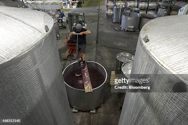 Worker uses a metal plunger to rotate grapes fermenting in a vat at the Rob Dolan & Co. Winery in the Yarra Valley region of Greater Melbourne,...