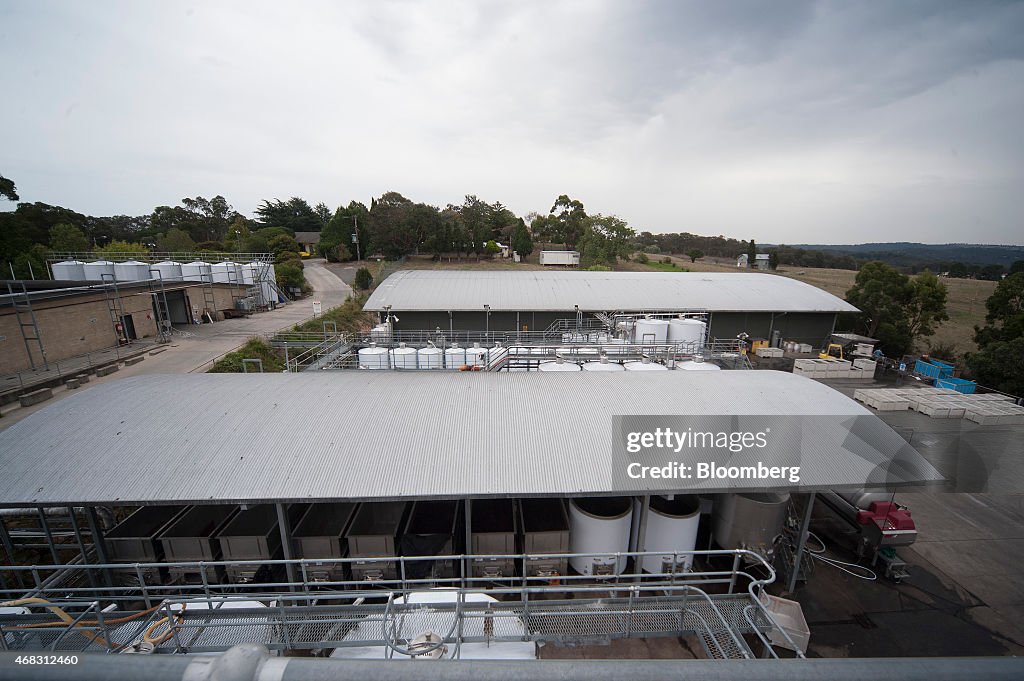 Wine Processing At Rob Dolan & Co. Winemaking Facility