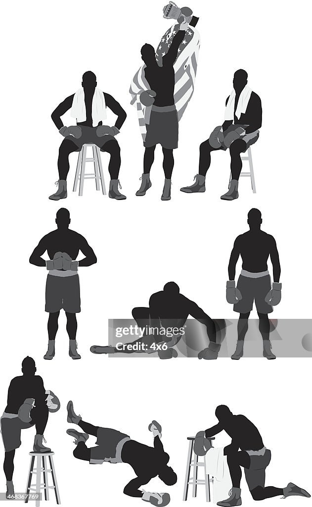 Boxer