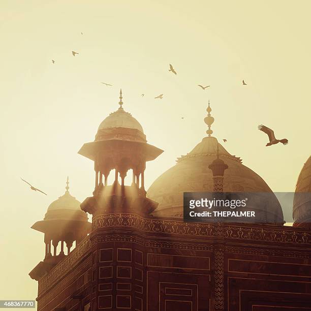 taj mahal - mosque stock pictures, royalty-free photos & images