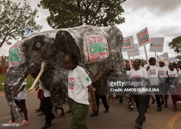 Malawi's anti Wildlife Crime campaigners carry a model of an elephant during a World Wildlife Day commemoration solidarity march in the capital...