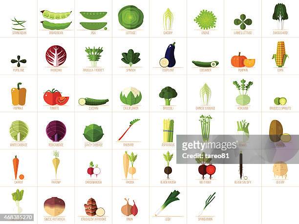 vegetable icons - arugula stock illustrations