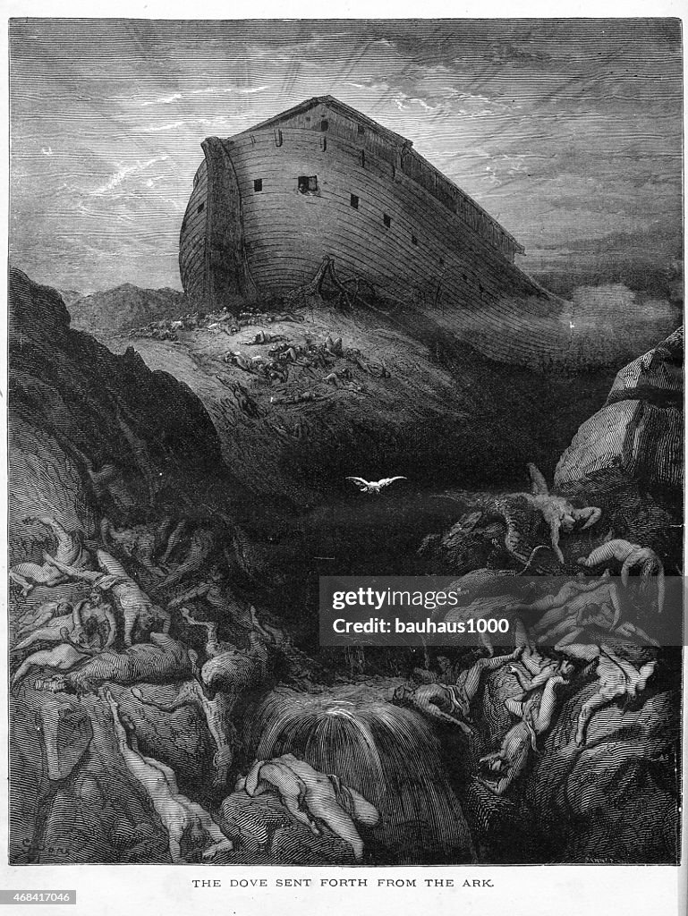 The Dove Sent Forth from the Ark Engraving