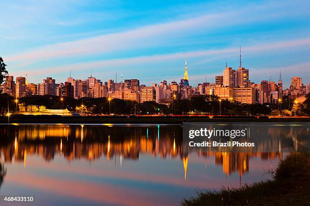 Sao Paulo skyline seen from Ibirapuera Park a major urban park of the city, Brazil.