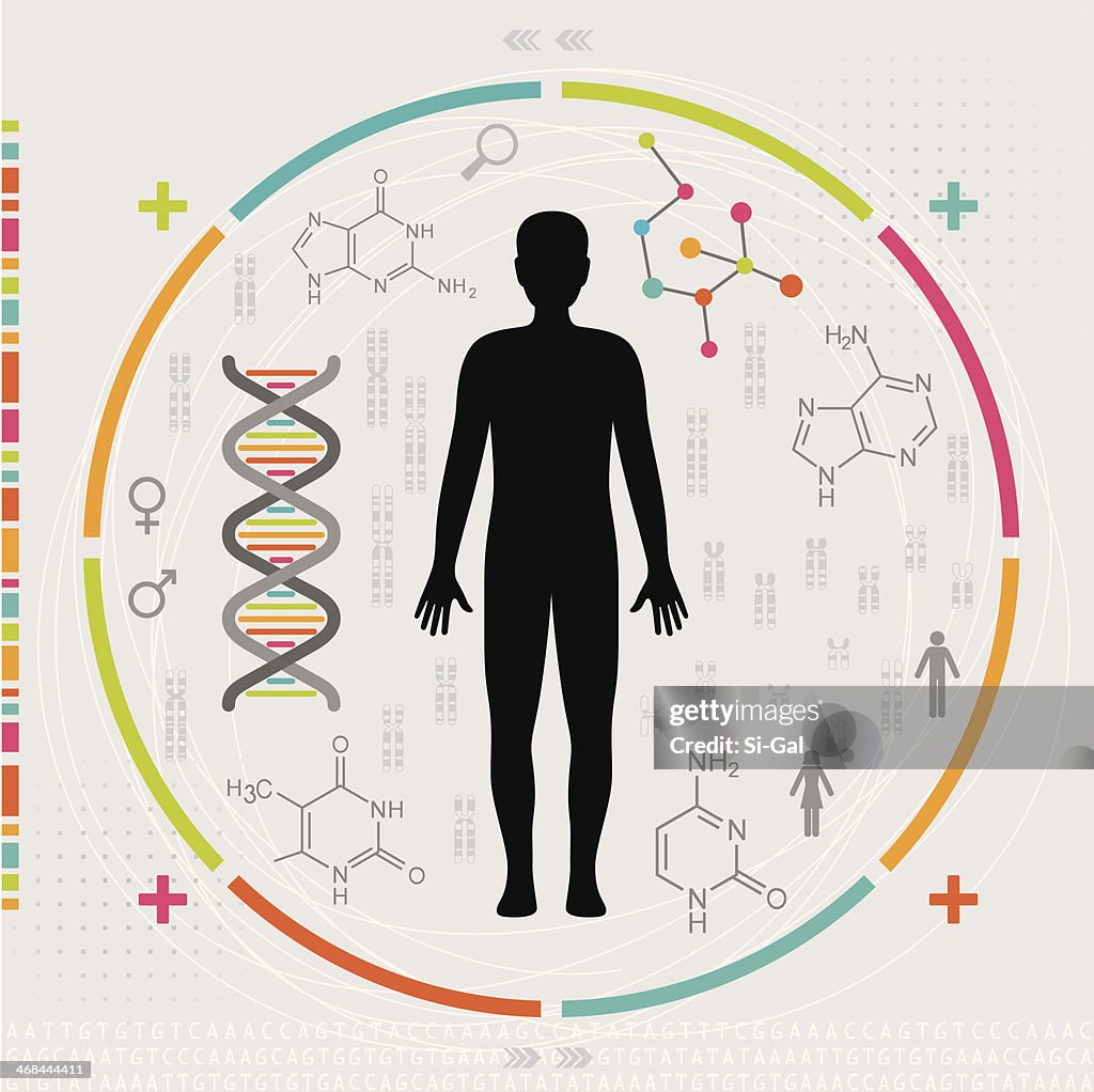 DNA 、人体いると Chromosomes