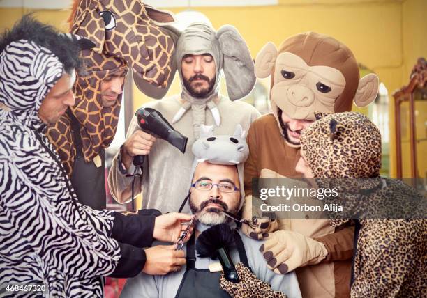 nilpferd im friseursalon - bühnenkostüm stock-fotos und bilder