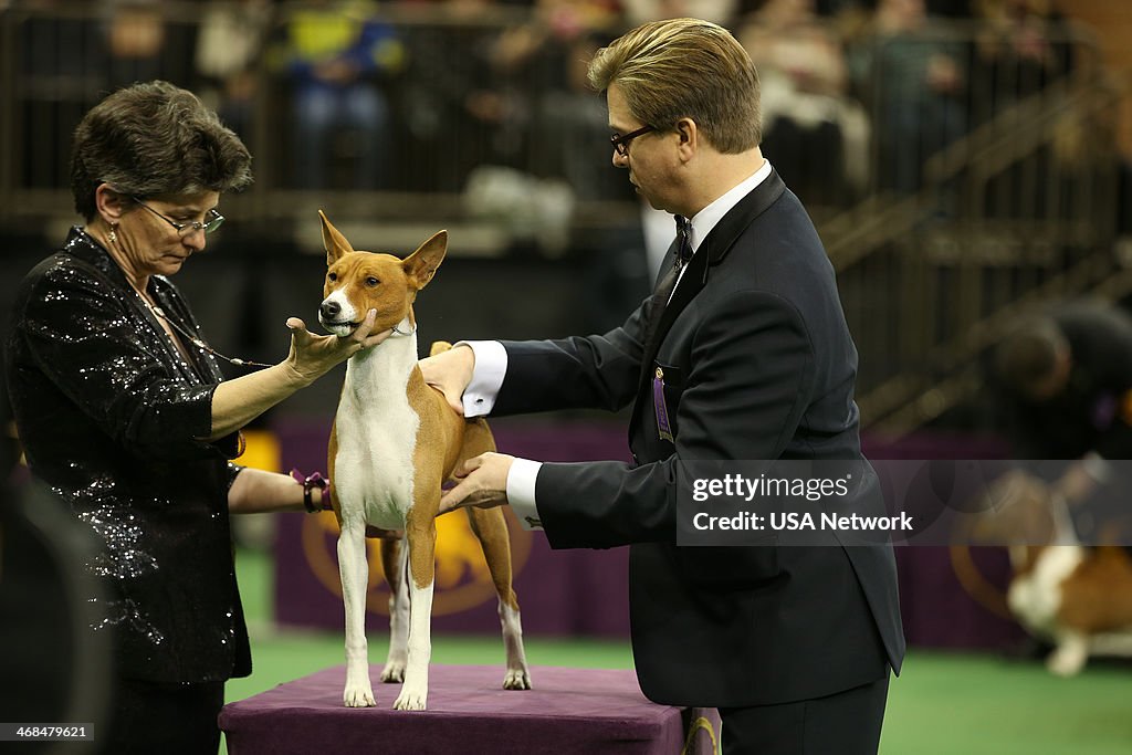 The Westminster Kennel Club Dog Show - 2014