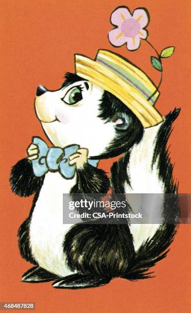 skunk - skunk stock illustrations