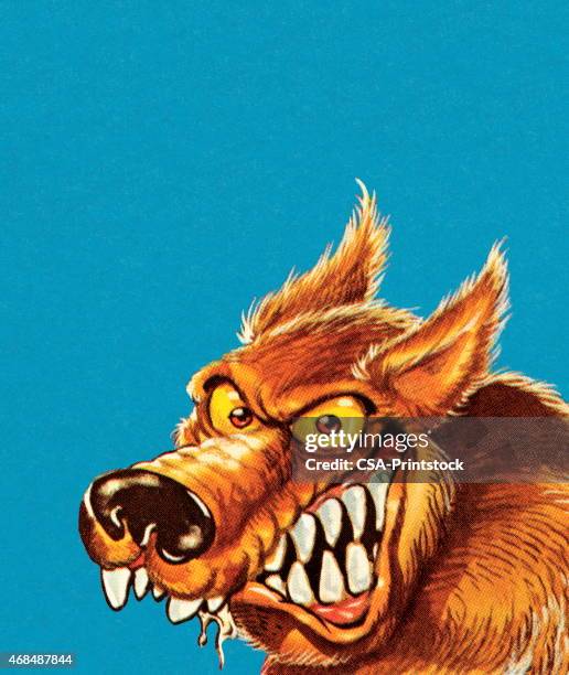 großes bad wolf - big bad wolf stock-grafiken, -clipart, -cartoons und -symbole
