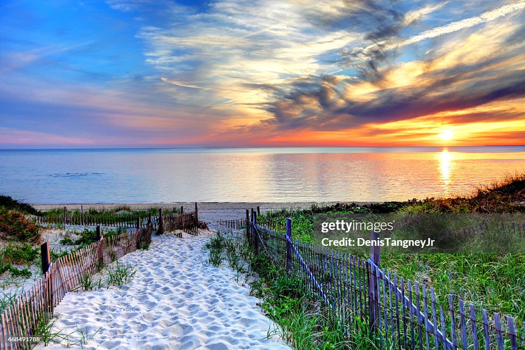 Path with beach fence on Cape Cod