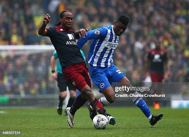 Cameron Jerome of Norwich and Rohan Ince of Brighton battle for the ball during the Sky Bet Championship match between Brighton & Hove Albion and...