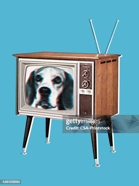 television set - dog blue background stock illustrations