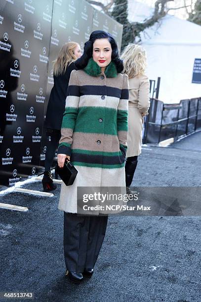 Dita Von Teese is seen on February 10, 2014 in New York City.