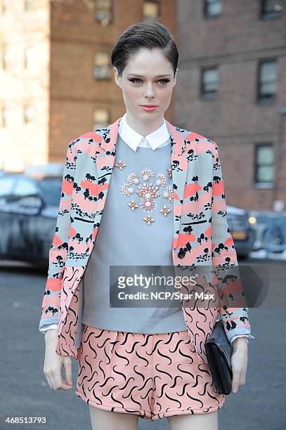 Coco Rocha is seen on February 10, 2014 in New York City.