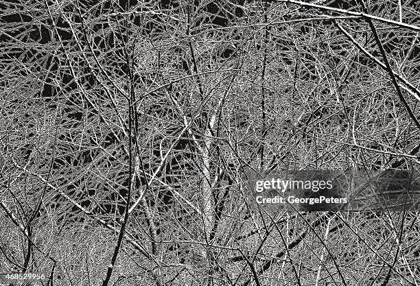 branches textured background - dead tree stock illustrations