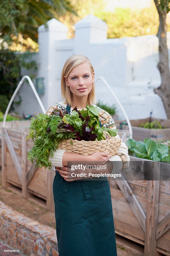 What a plentiful gardening season