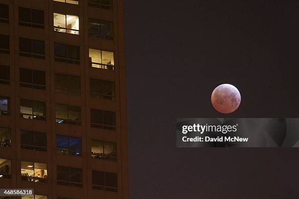 The moon is seen behind downtown high-rise buildings during the shortest total lunar eclipse of the century before dawn on April 4, 2014 in Los...