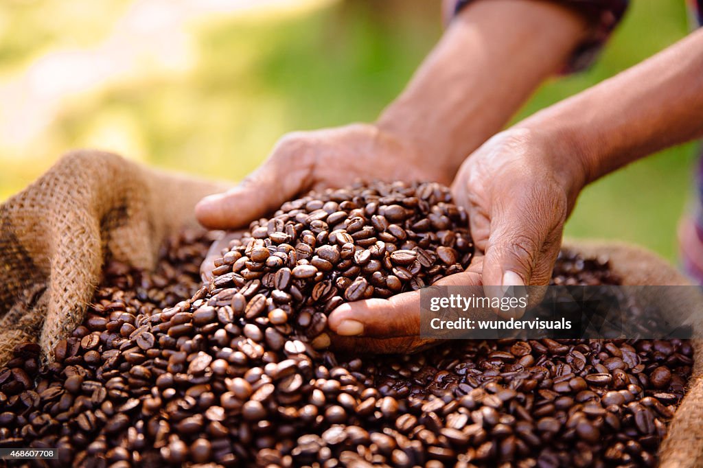 Fair trade farming is best for coffee bean produce